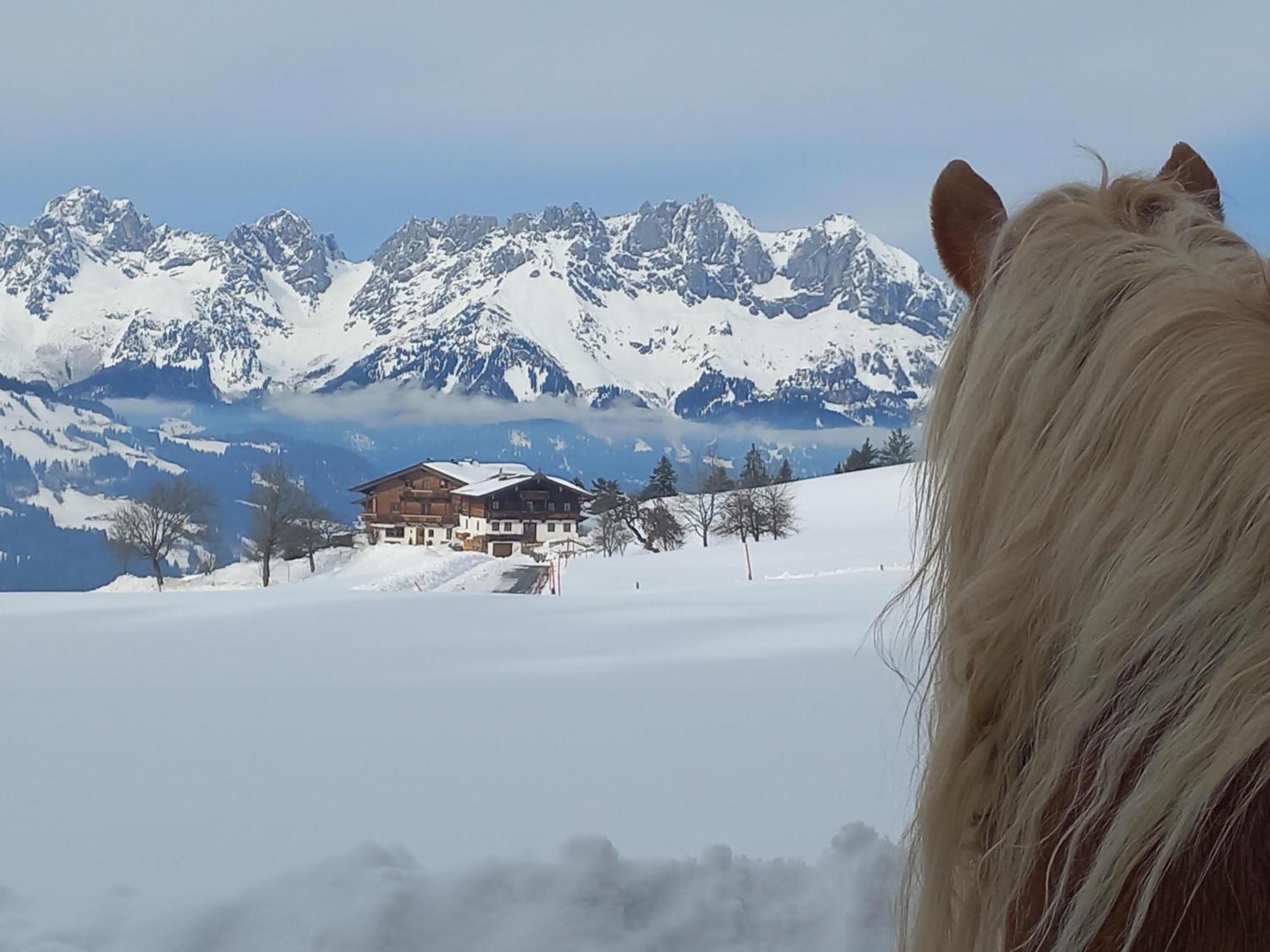Hahnenkammblick Villa คิทซ์บือห์ ภายนอก รูปภาพ