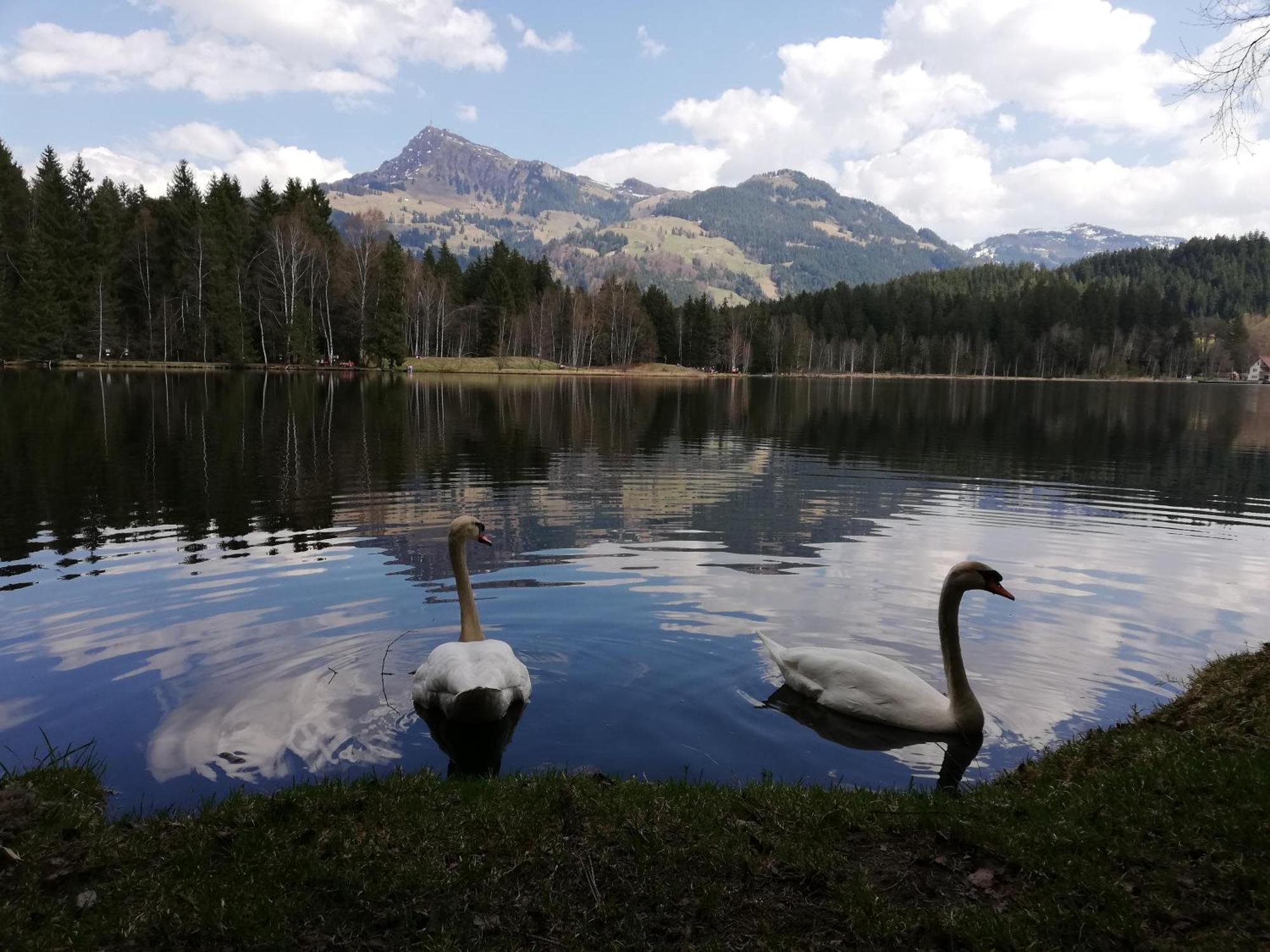 Hahnenkammblick Villa คิทซ์บือห์ ภายนอก รูปภาพ