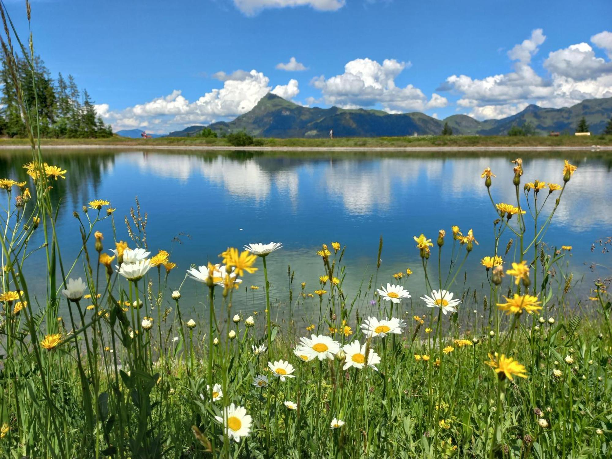 Hahnenkammblick Villa คิทซ์บือห์ ภายนอก รูปภาพ