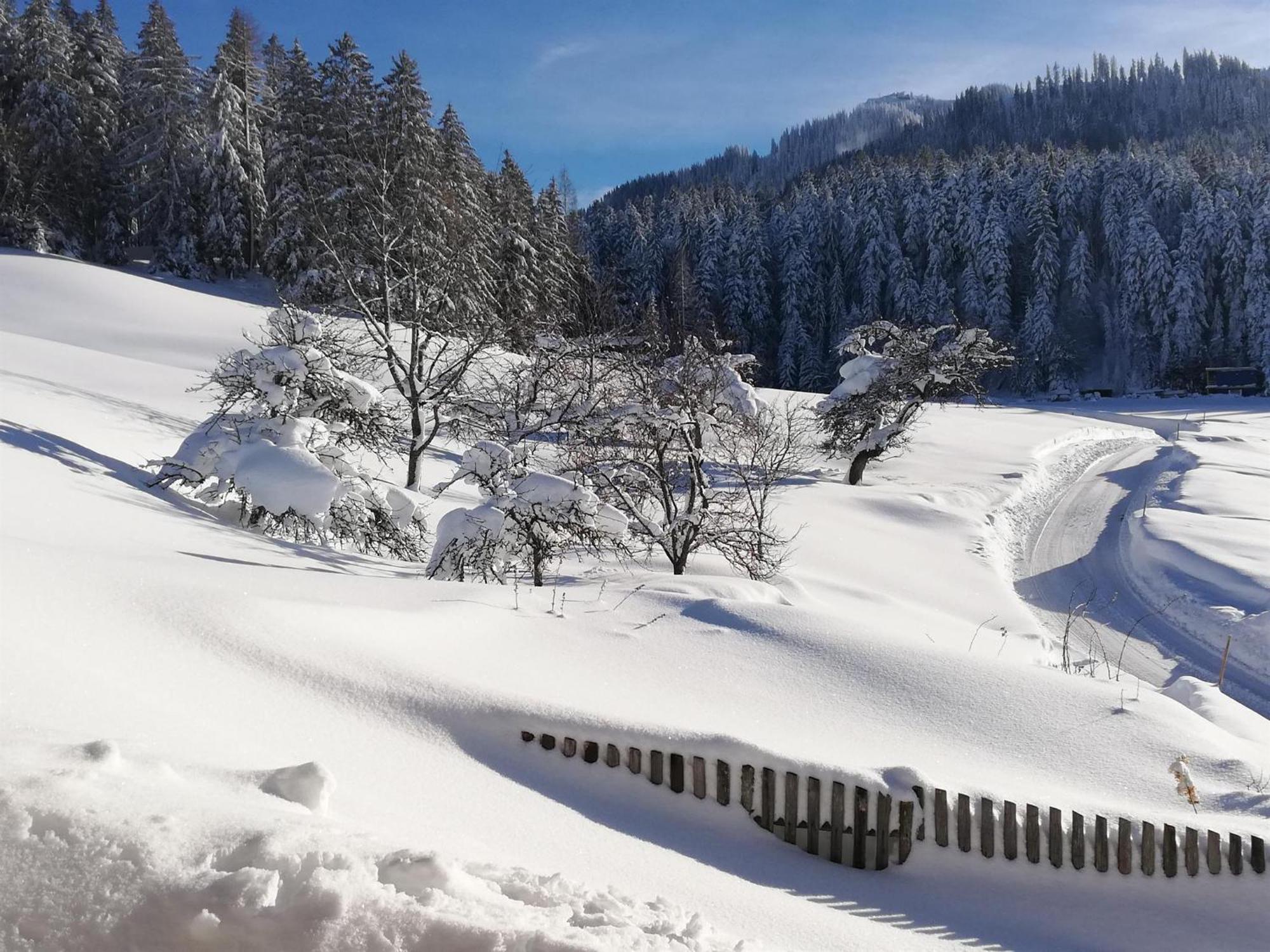 Hahnenkammblick Villa คิทซ์บือห์ ภายนอก รูปภาพ